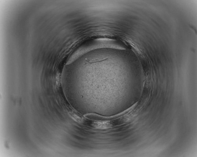 X0000096940093200802151224