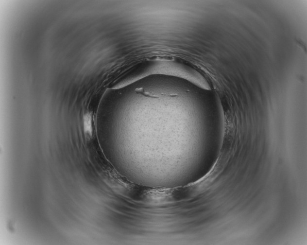 X0000096940094200802151224