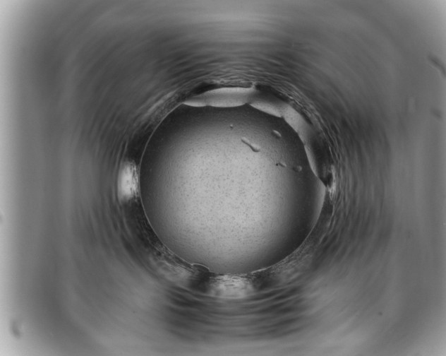 X0000096940095200802151224