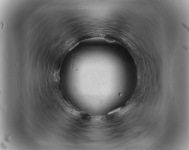 X0000096940096200802151224