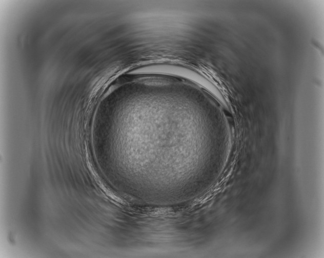 X0000096940097200802151224