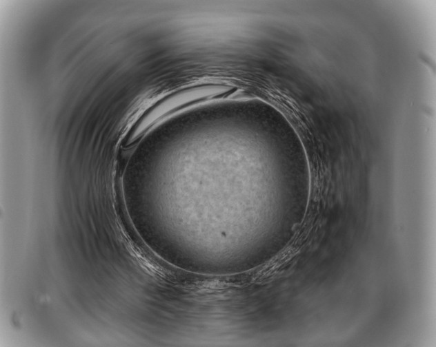 X0000096940098200802151224