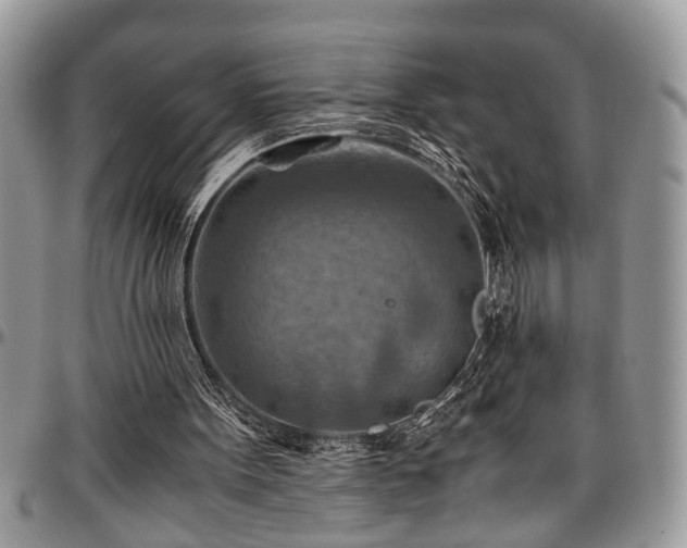 X0000096940099200802151224