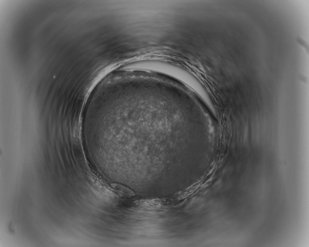 X0000096940100200802151224