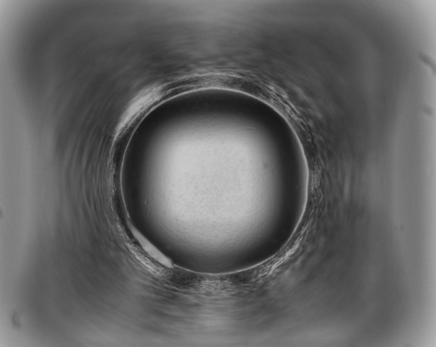 X0000096940101200802151224