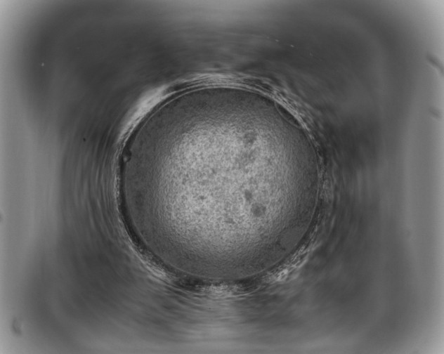 X0000096940103200802151223