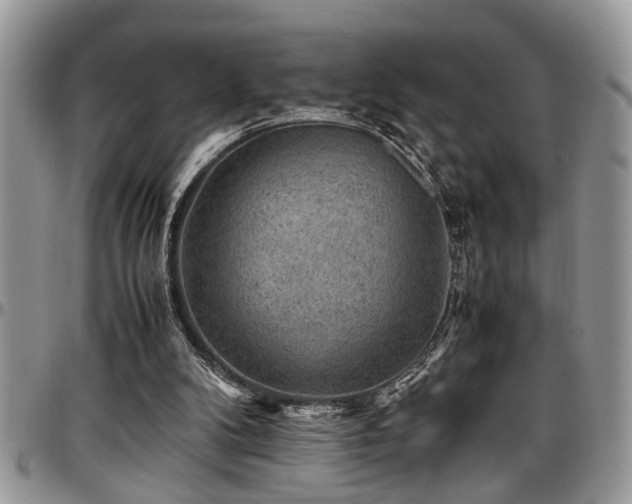 X0000096940104200802151223