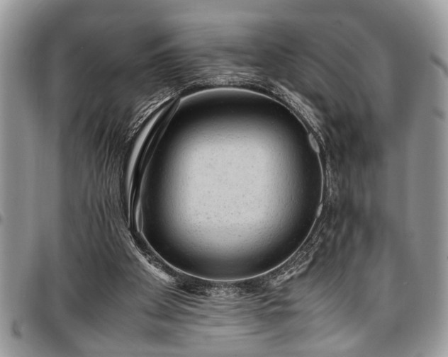 X0000096940105200802151223