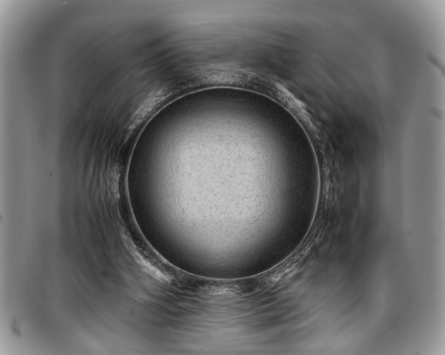 X0000096940106200802151223