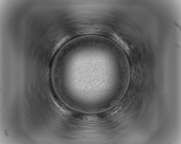 X0000096940107200802151223