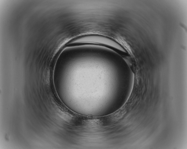 X0000096940108200802151223