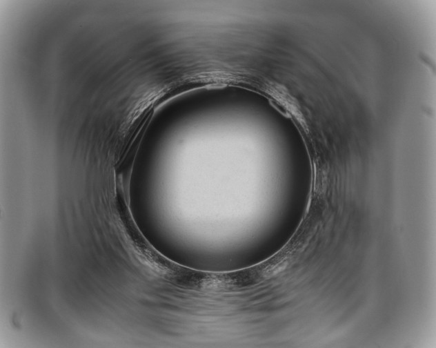 X0000096940109200802151223