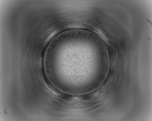 X0000096940111200802151223