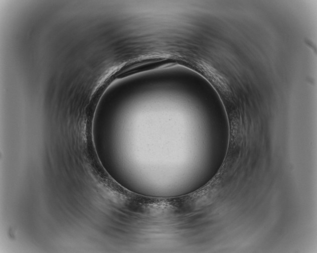 X0000096940112200802151223