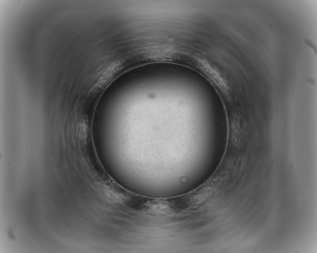 X0000096940113200802151223