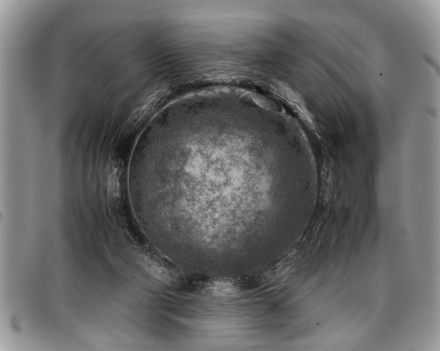 X0000096940114200802151223