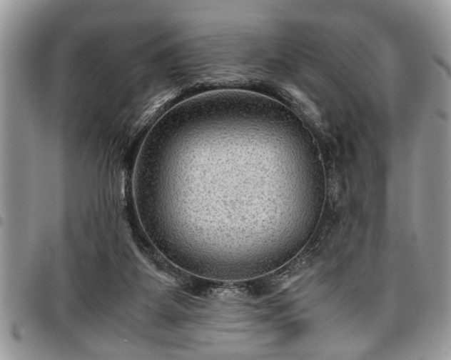 X0000096940115200802151223