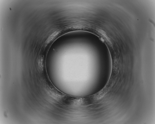 X0000096940116200802151223