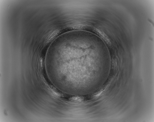 X0000096940117200802151223