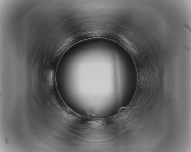 X0000096940118200802151223