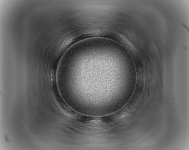 X0000096940119200802151223