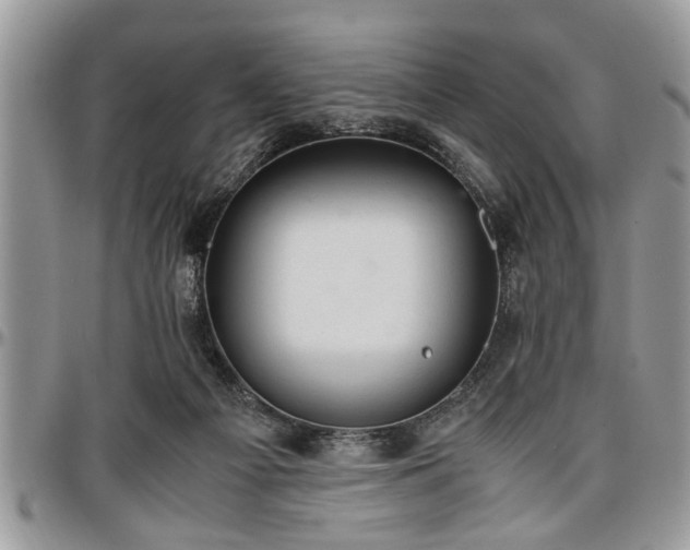 X0000096940121200802151223