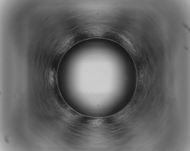 X0000096940122200802151223