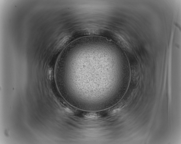 X0000096940123200802151223