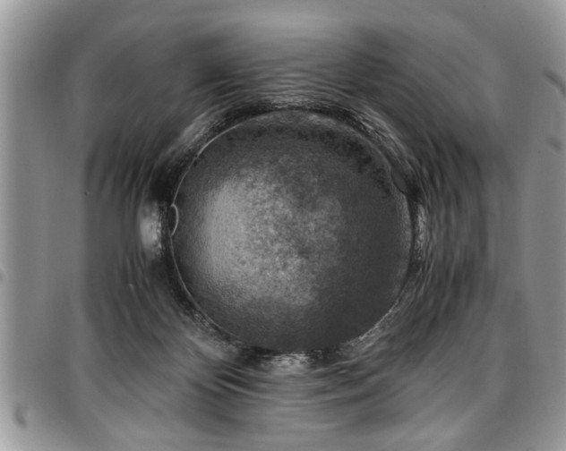 X0000096940124200802151223