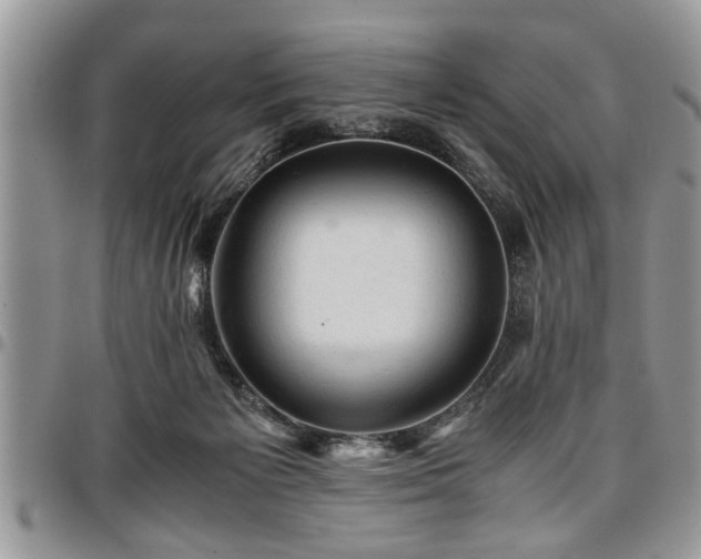 X0000096940125200802151223