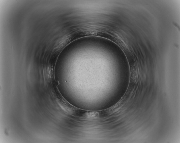 X0000096940126200802151223