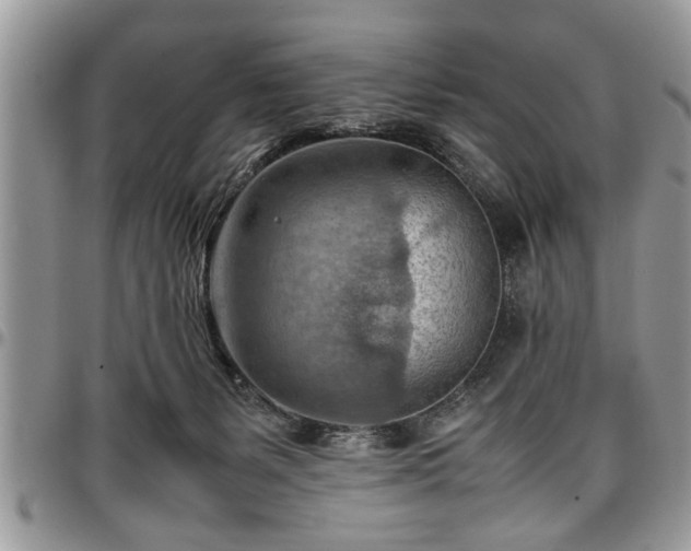 X0000096940127200802151223