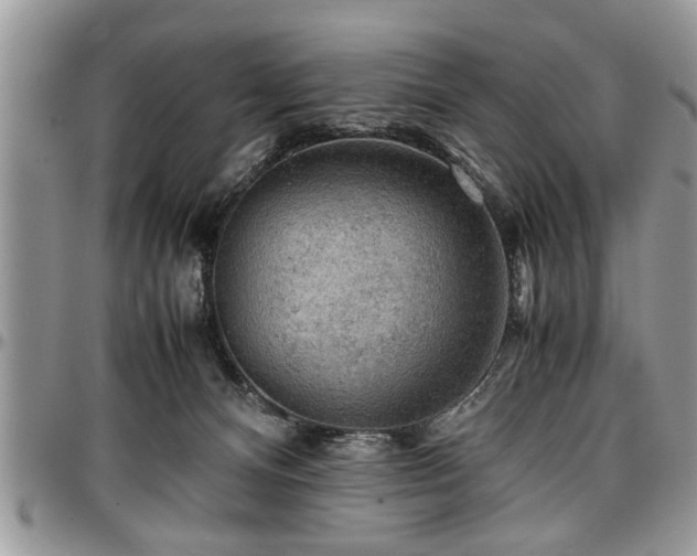 X0000096940128200802151223