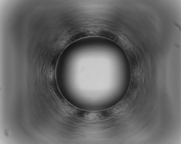 X0000096940129200802151223