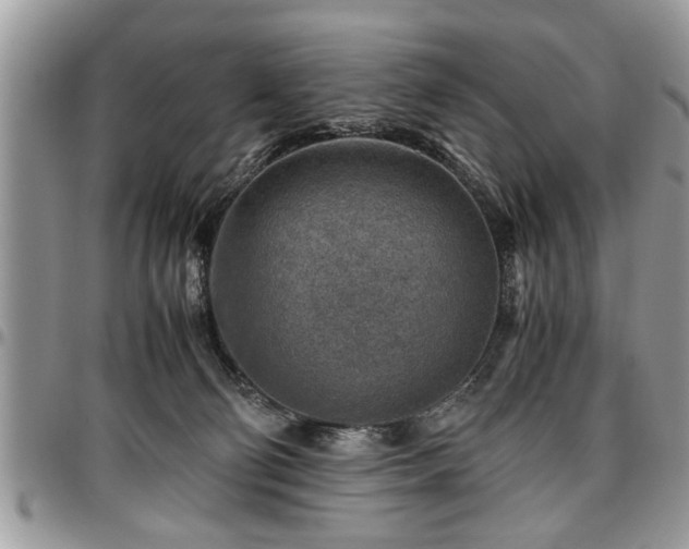X0000096940130200802151223