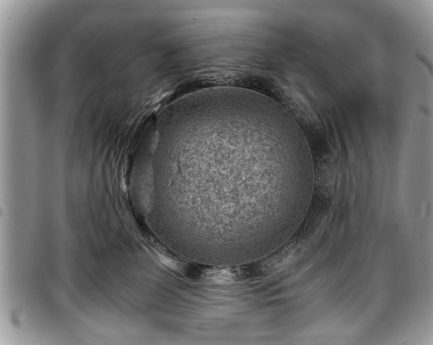 X0000096940131200802151223