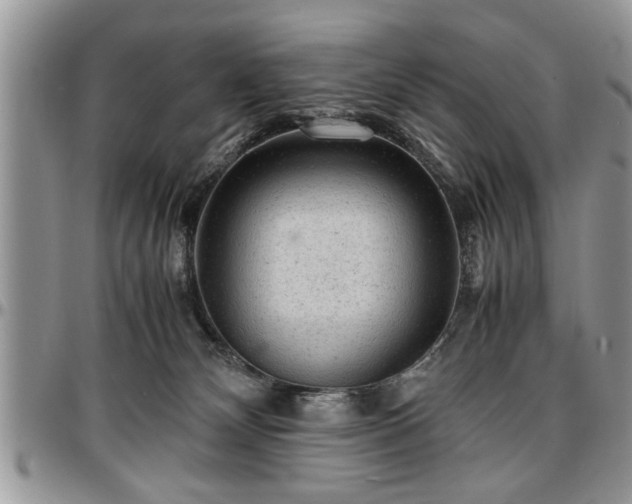 X0000096940132200802151223