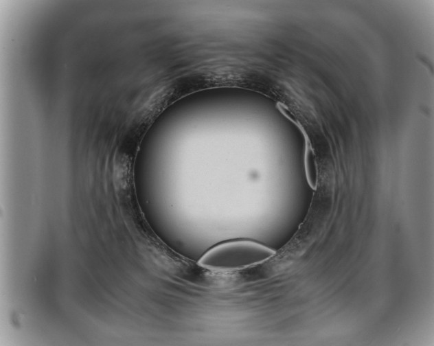 X0000096940133200802151223