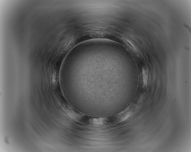 X0000096940134200802151223