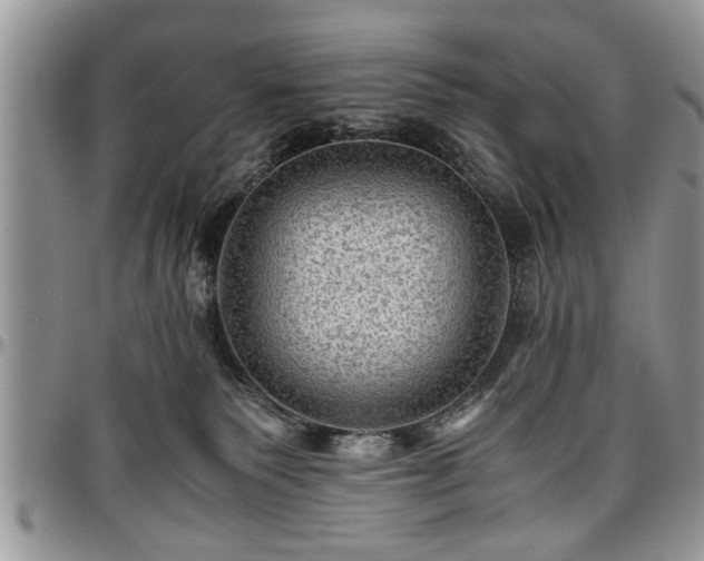 X0000096940135200802151223