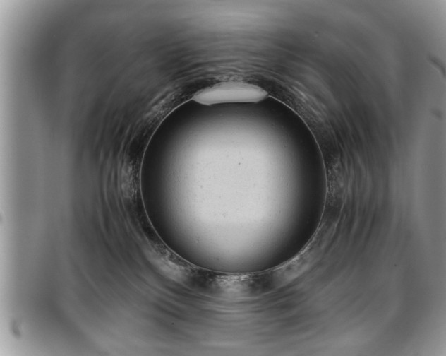 X0000096940136200802151223