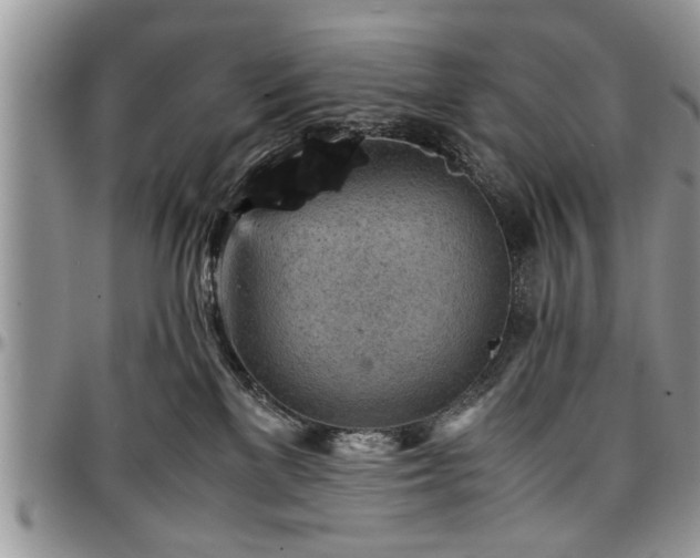 X0000096940137200802151223