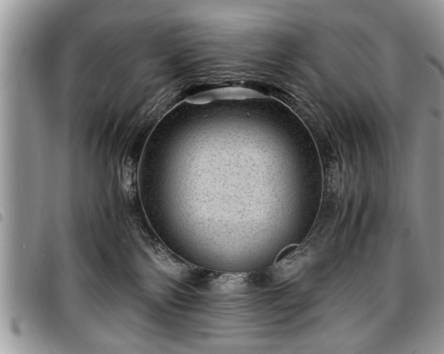 X0000096940138200802151223