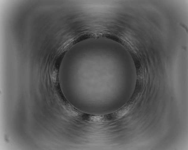 X0000096940139200802151223