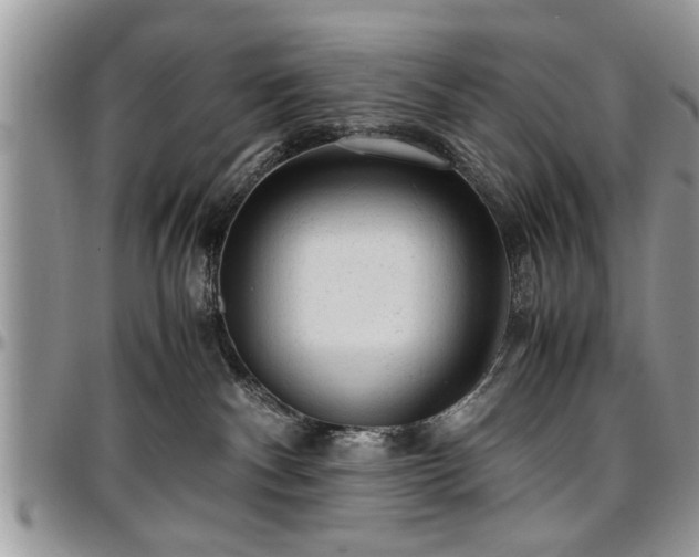 X0000096940140200802151223