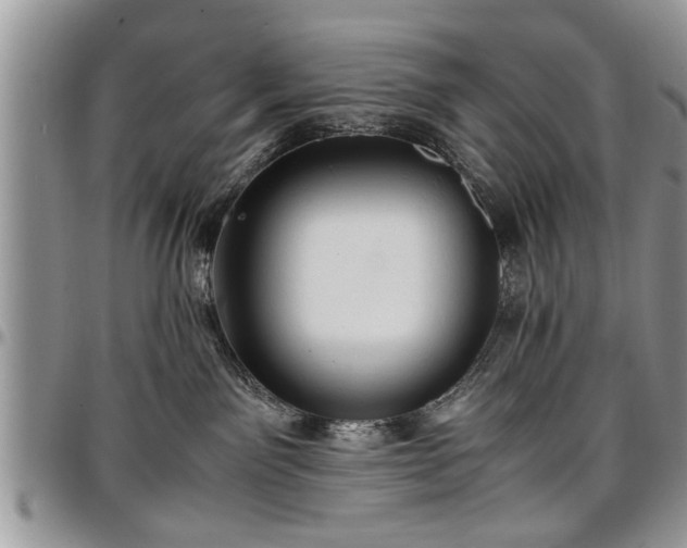 X0000096940141200802151223