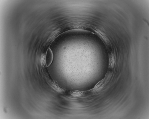 X0000096940142200802151223