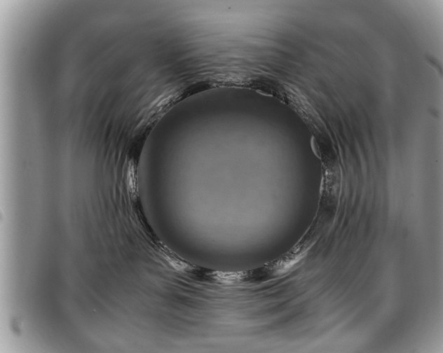 X0000096940143200802151223