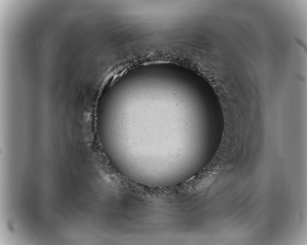 X0000096940144200802151223