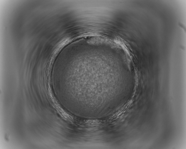 X0000096940145200802151222